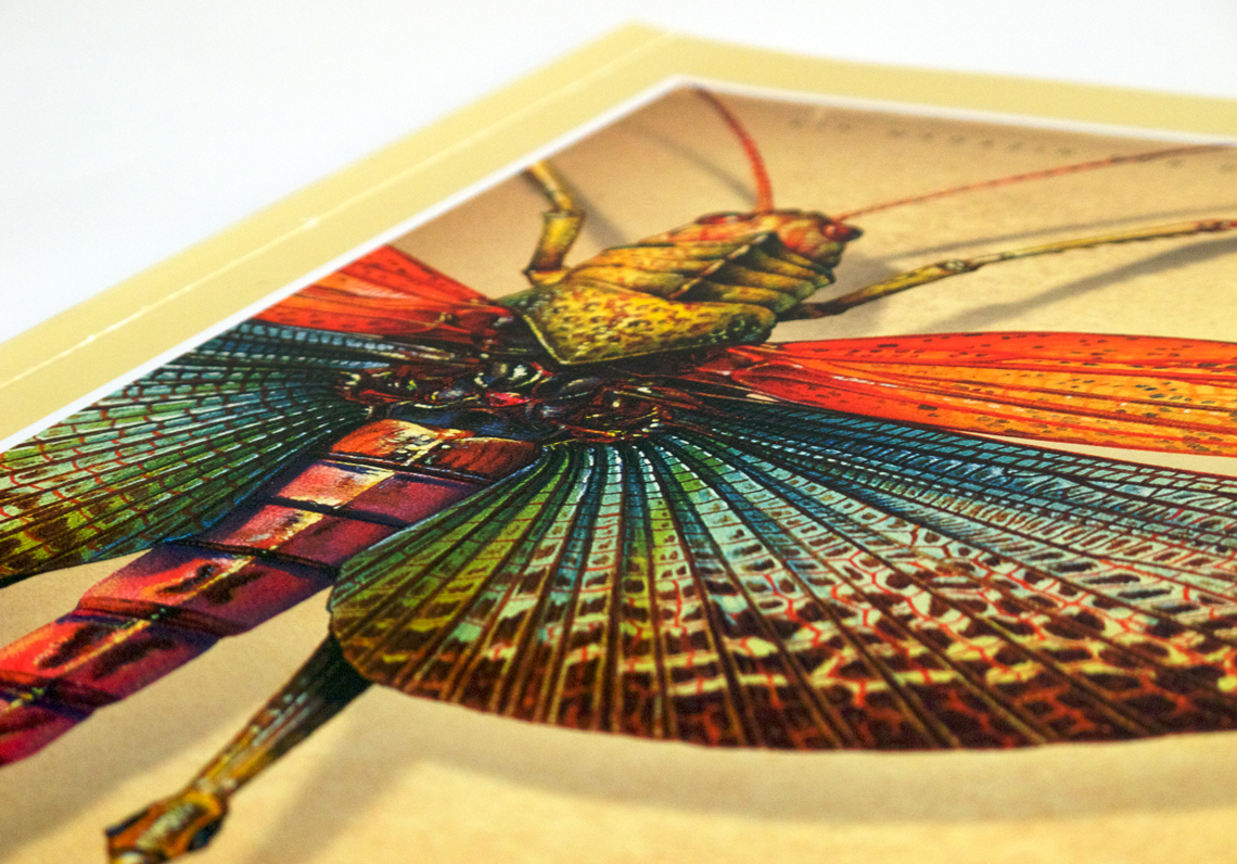 Kundenmagazin Sal. Oppenheim